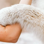 Программы лояльности казино без депозита для настоящих авантюристов